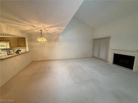 107 Fox Hollow Court Mayfield Heights OH 44124