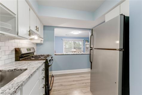 798 Pipes Court Northfield OH 44067