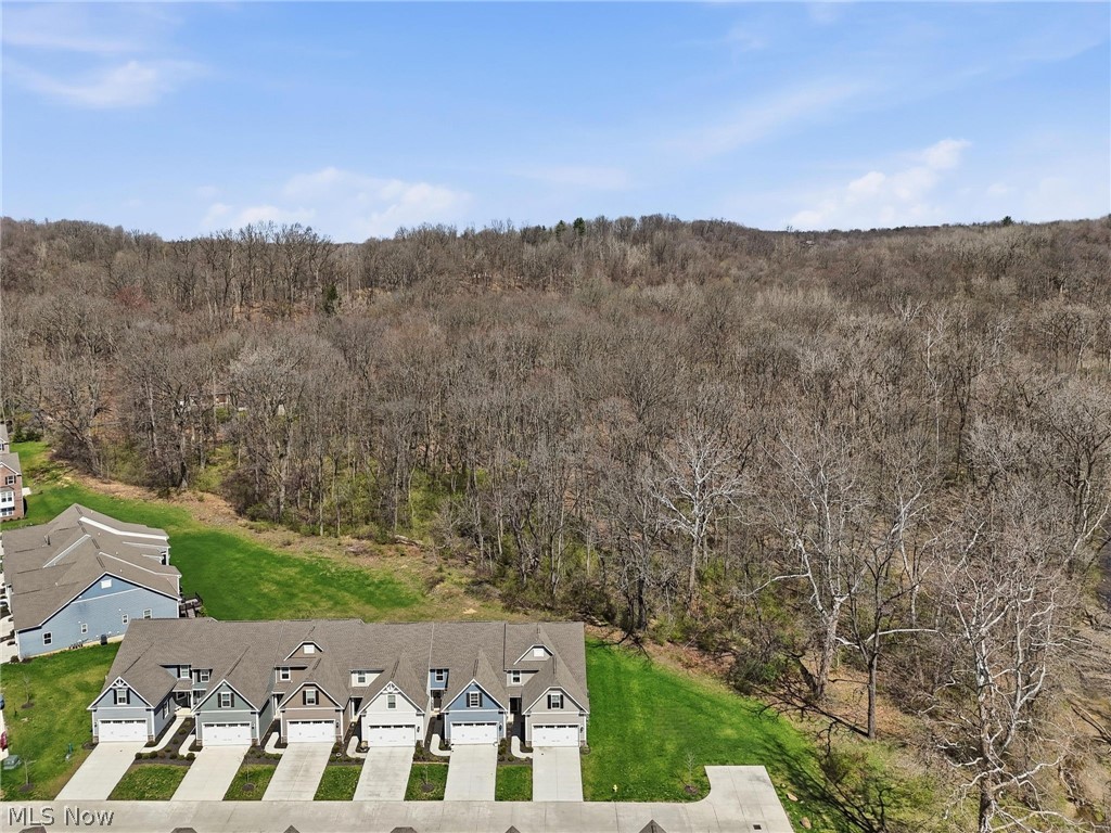 1581 Mud Brook Court Akron OH 44313