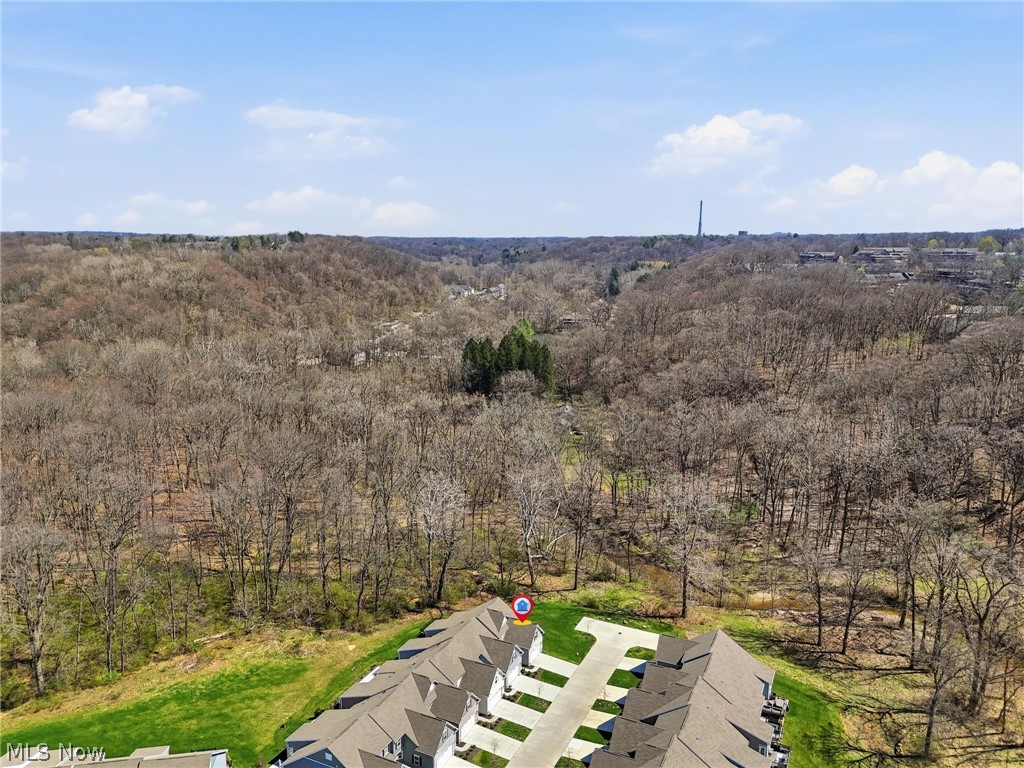 1581 Mud Brook Court Akron OH 44313