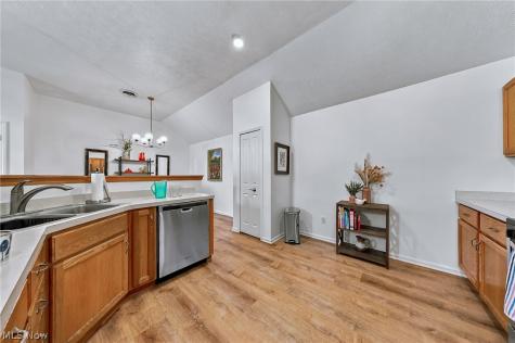 23453 Grist Mill Court Olmsted Falls OH 44138