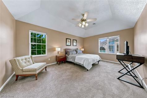23453 Grist Mill Court Olmsted Falls OH 44138