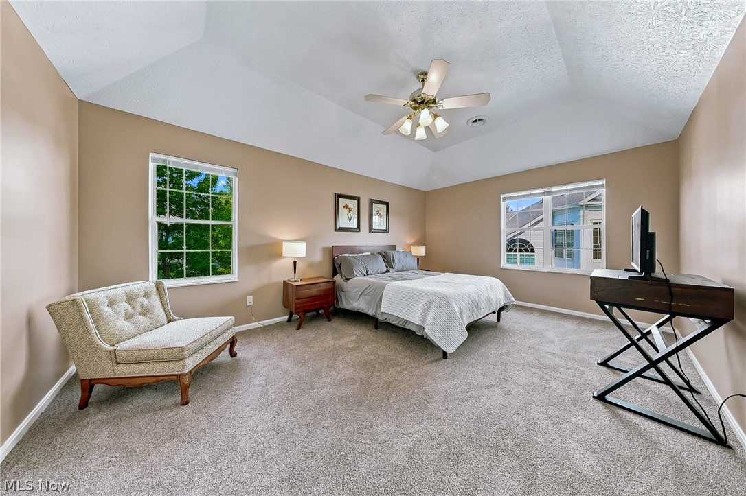 23453 Grist Mill Court Olmsted Falls OH 44138