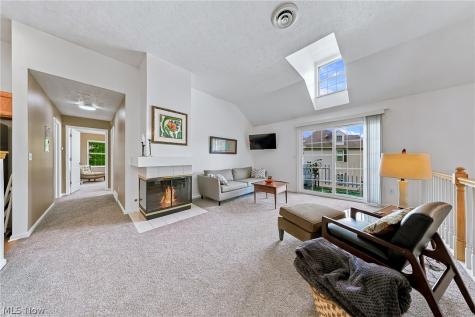 23453 Grist Mill Court Olmsted Falls OH 44138
