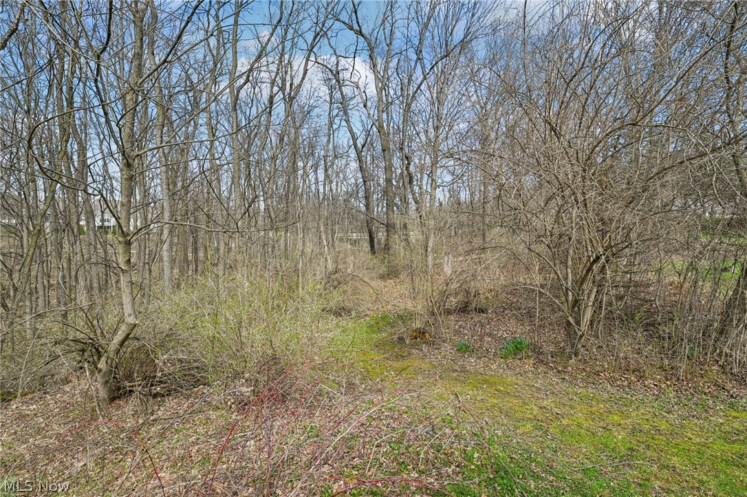 3432 Brookpoint Lane Cuyahoga Falls OH 44223