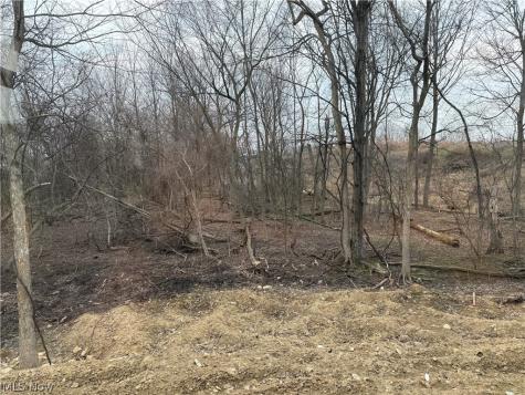 S/l 25 Devon Path Medina OH 44256