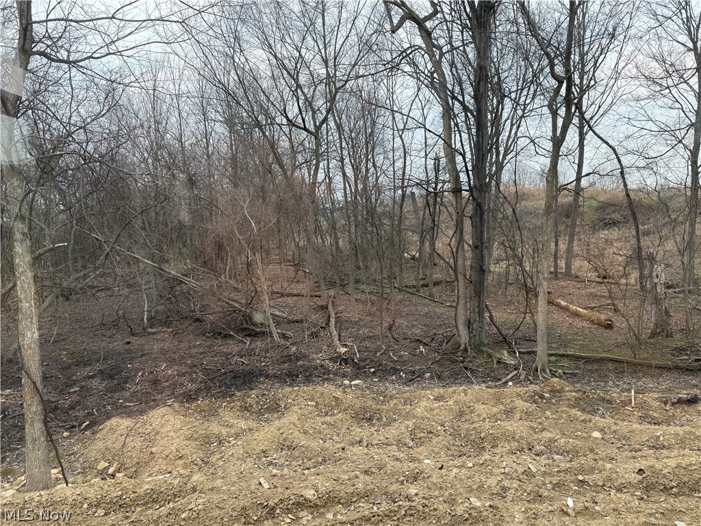 S/l 25 Devon Path Medina OH 44256