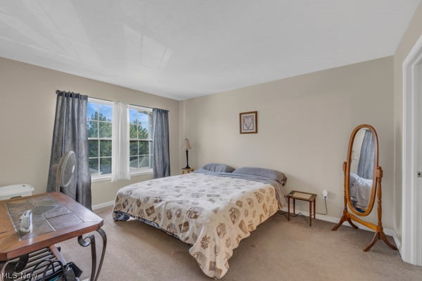 23004 Chandlers Lane Olmsted Falls OH 44138