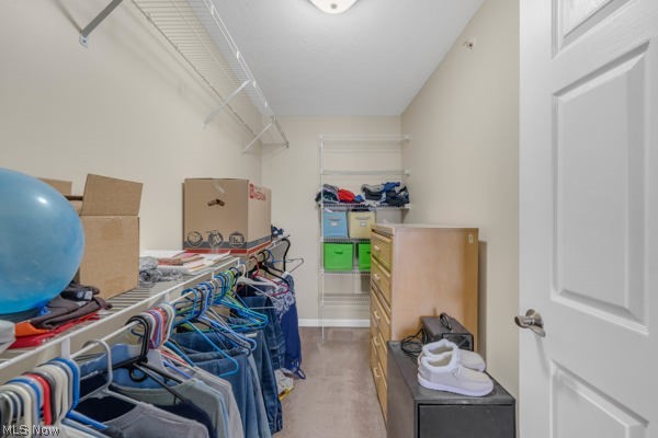23004 Chandlers Lane Olmsted Falls OH 44138