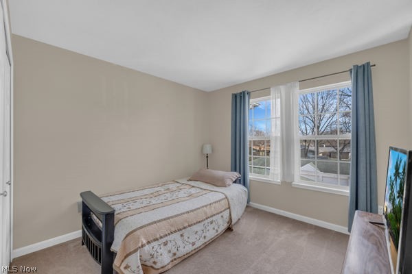 23004 Chandlers Lane Olmsted Falls OH 44138