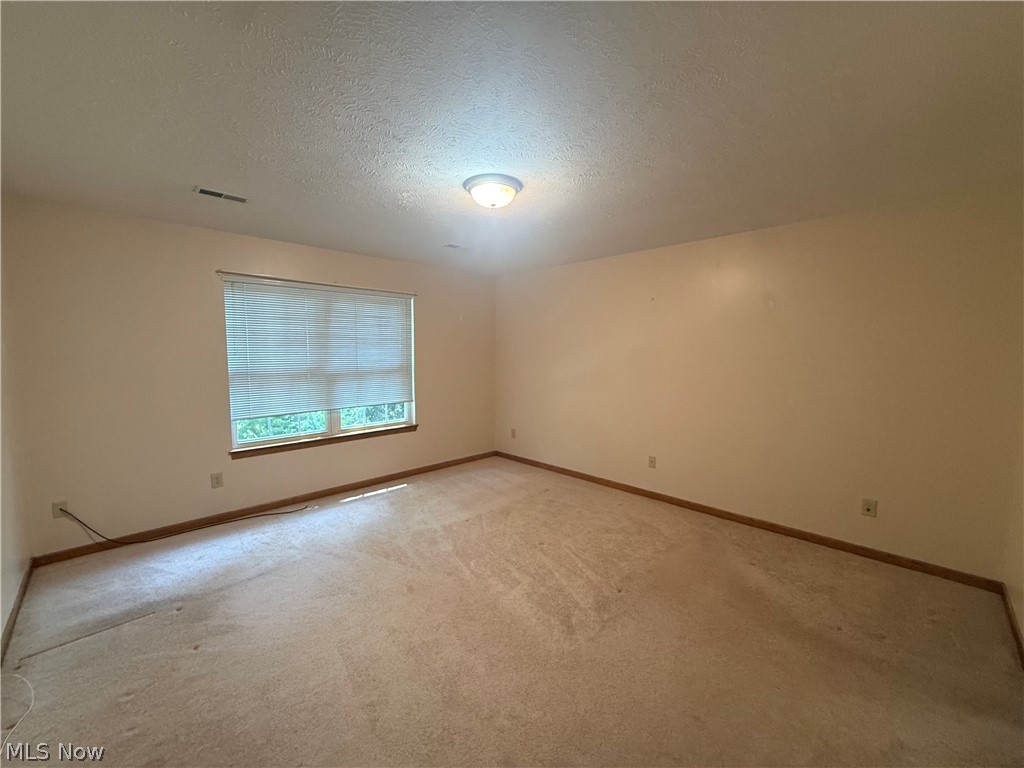 119 Woodbine Oval Madison OH 44057