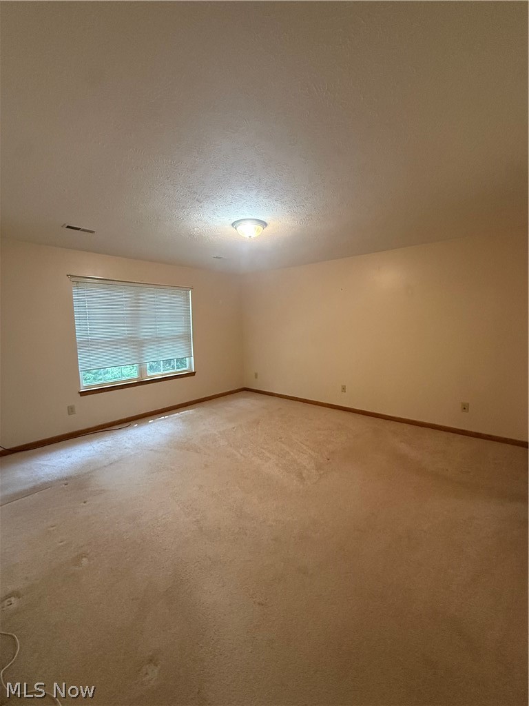 119 Woodbine Oval Madison OH 44057