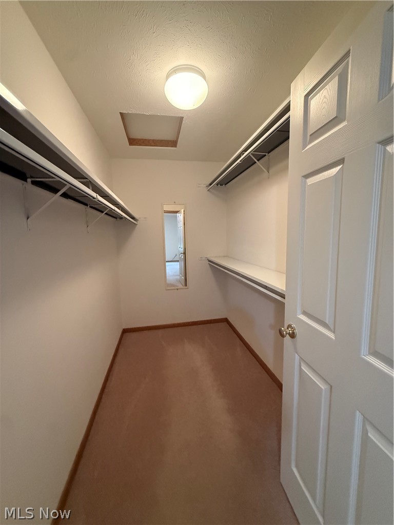 119 Woodbine Oval Madison OH 44057
