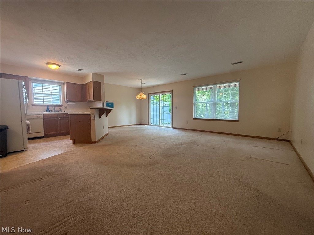 119 Woodbine Oval Madison OH 44057