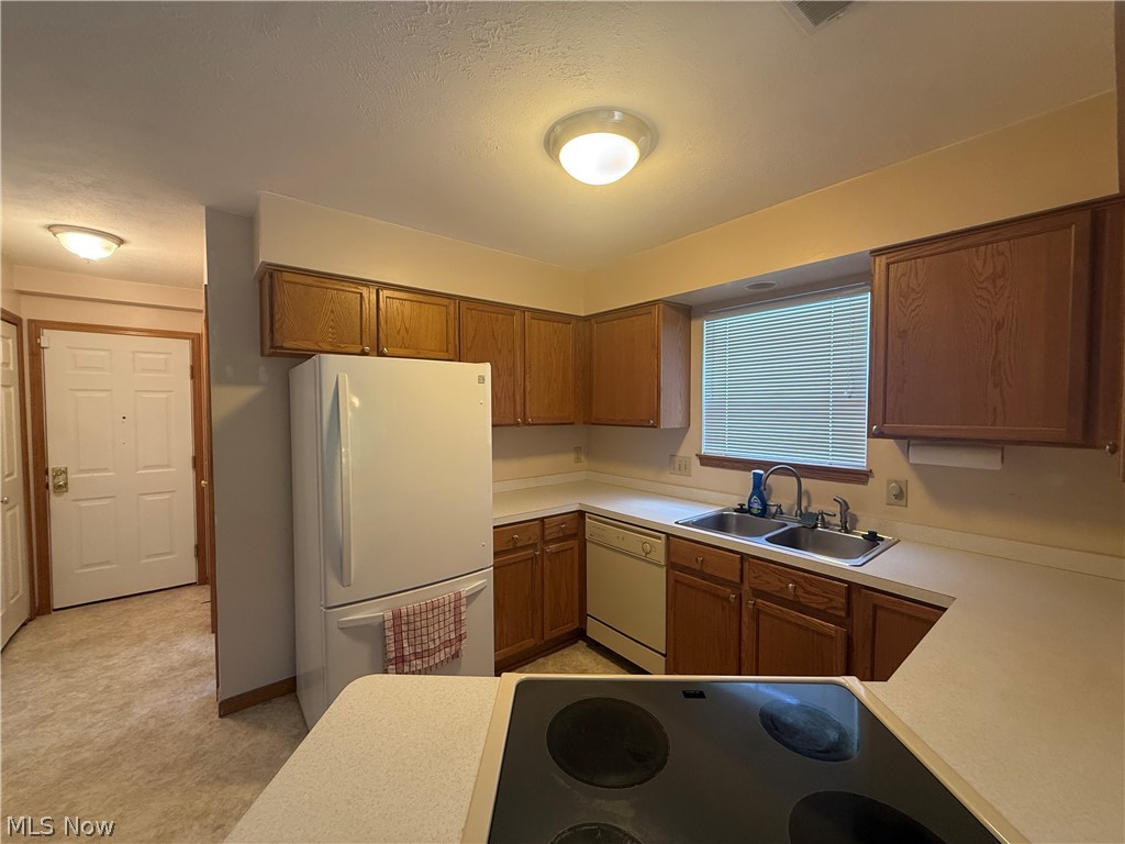 119 Woodbine Oval Madison OH 44057