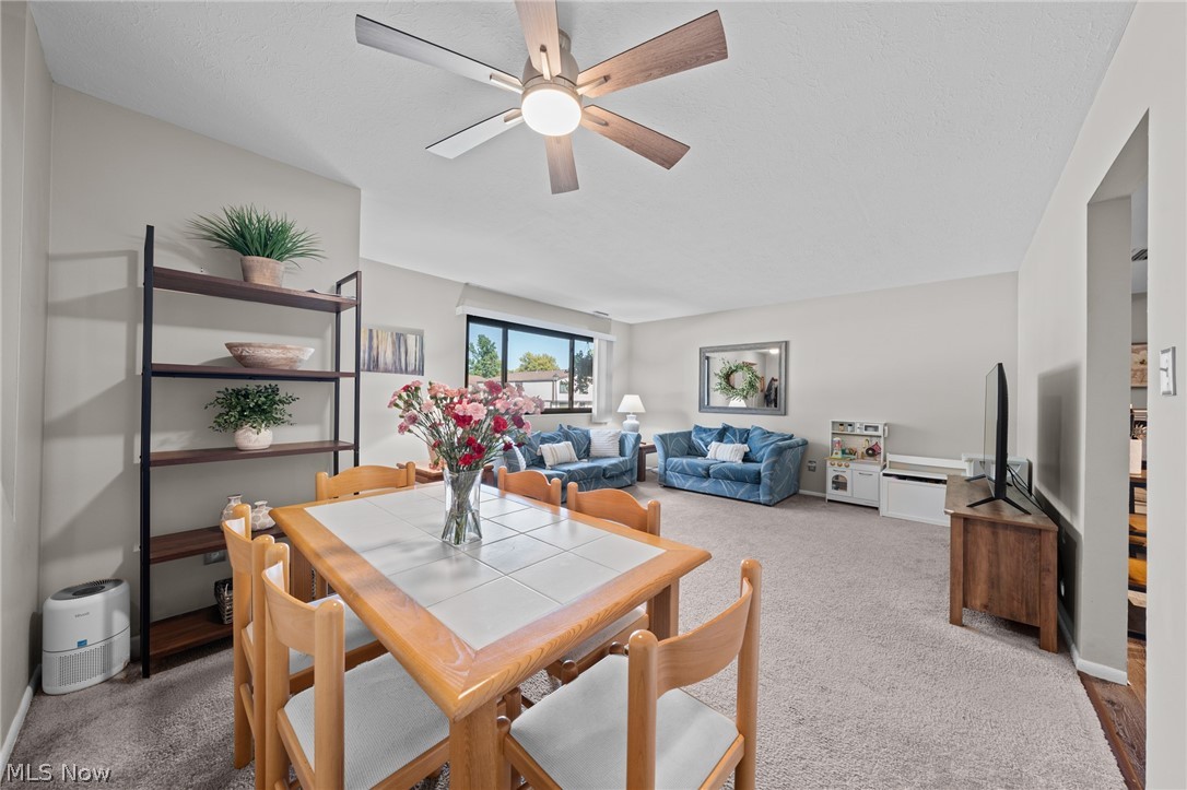 11794 Harbour Light Drive North Royalton OH 44133