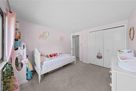 11794 Harbour Light Drive North Royalton OH 44133