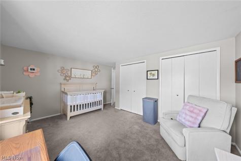 11794 Harbour Light Drive North Royalton OH 44133