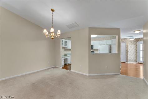 29 Community Drive Avon Lake OH 44012