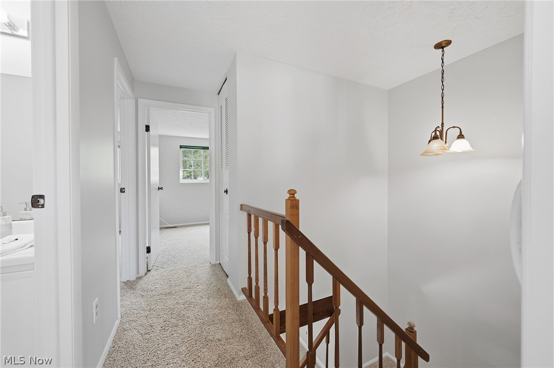 7396 S Chestnut Commons Drive Mentor OH 44060