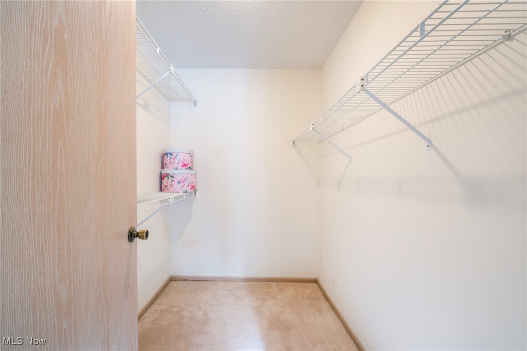 30 Newton Square Drive Canfield OH 44406