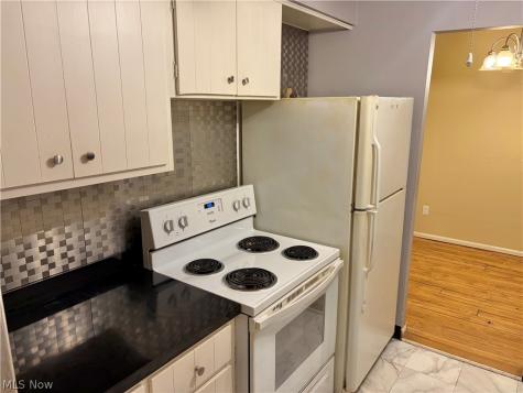2885 Pease Drive Rocky River OH 44116