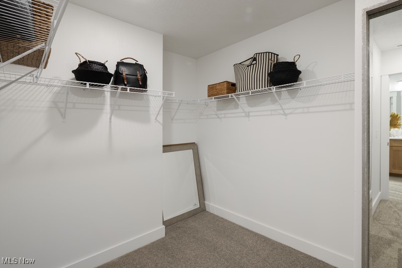 9210 Ledge View Terrace Broadview Heights OH 44147