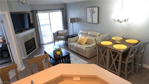 23003 Chandlers Lane Olmsted Falls OH 44138