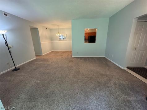 7266 Village Drive Mentor OH 44060