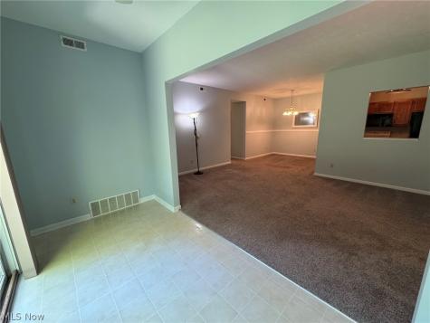 7266 Village Drive Mentor OH 44060