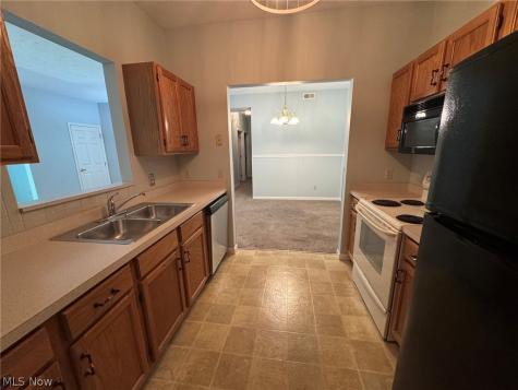 7266 Village Drive Mentor OH 44060