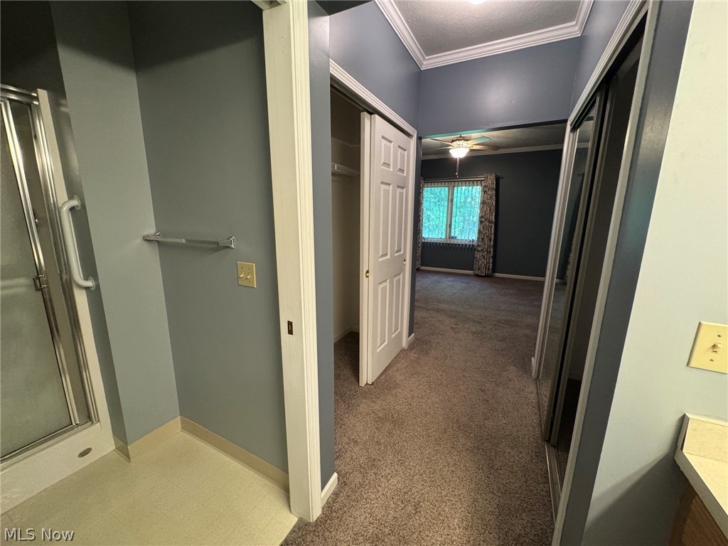 7266 Village Drive Mentor OH 44060