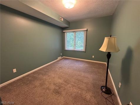 7266 Village Drive Mentor OH 44060