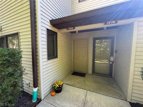 7266 Village Drive Mentor OH 44060