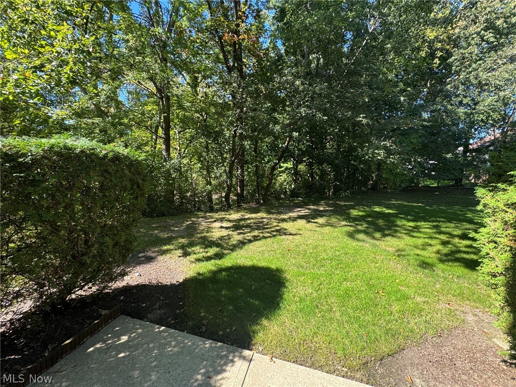 7266 Village Drive Mentor OH 44060