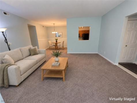 7266 Village Drive Mentor OH 44060