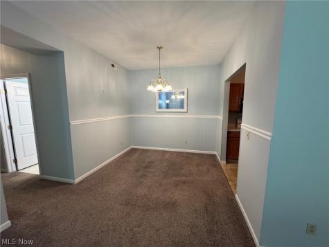 7266 Village Drive Mentor OH 44060