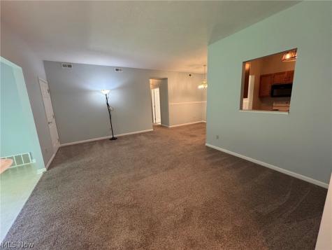 7266 Village Drive Mentor OH 44060