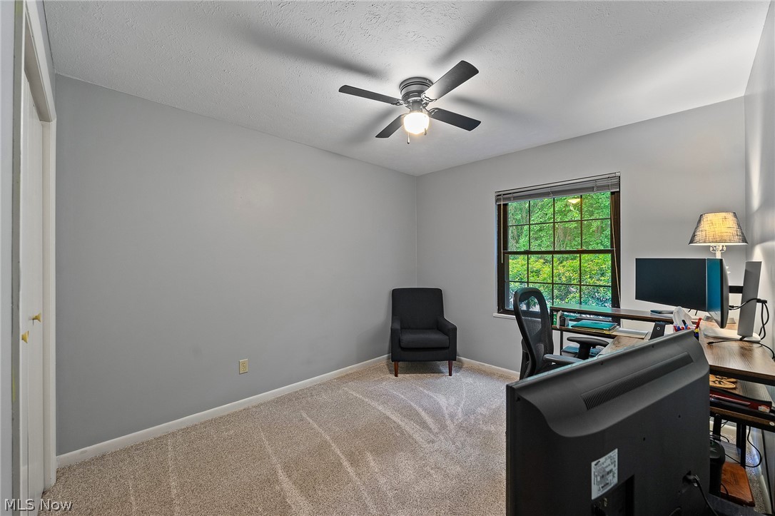 1339 Fox Run Drive Youngstown OH 44512