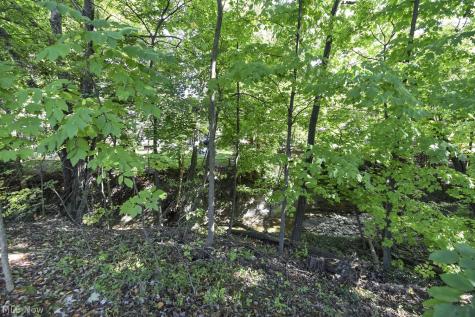 1239 Harwich Court Rocky River OH 44116
