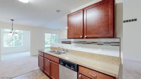 1146 Briarcliff Drive Akron OH 44312