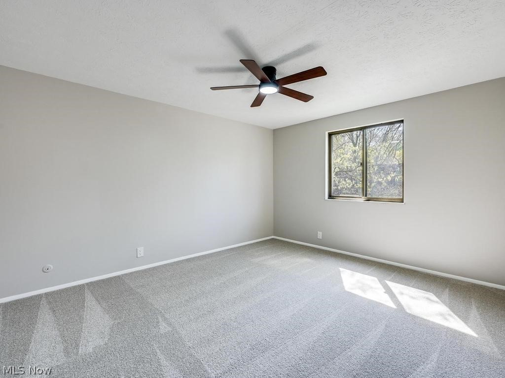 1651 Mentor Avenue Painesville OH 44077