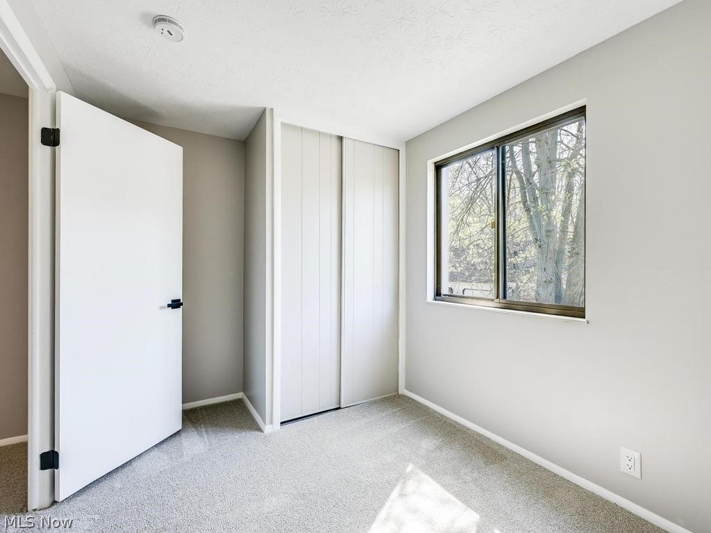 1651 Mentor Avenue Painesville OH 44077