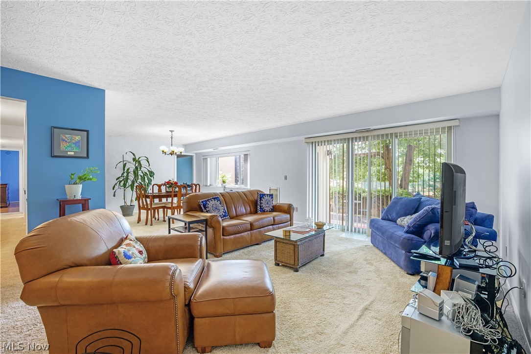 186 Court Drive Fairlawn OH 44333
