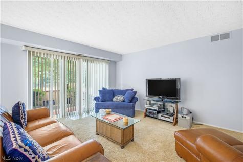 186 Court Drive Fairlawn OH 44333