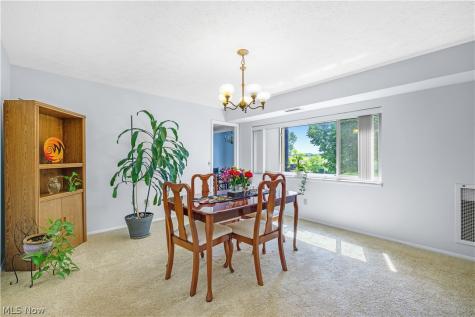 186 Court Drive Fairlawn OH 44333