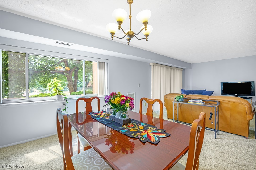186 Court Drive Fairlawn OH 44333