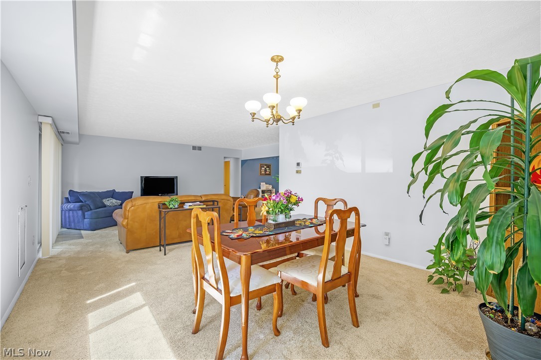 186 Court Drive Fairlawn OH 44333