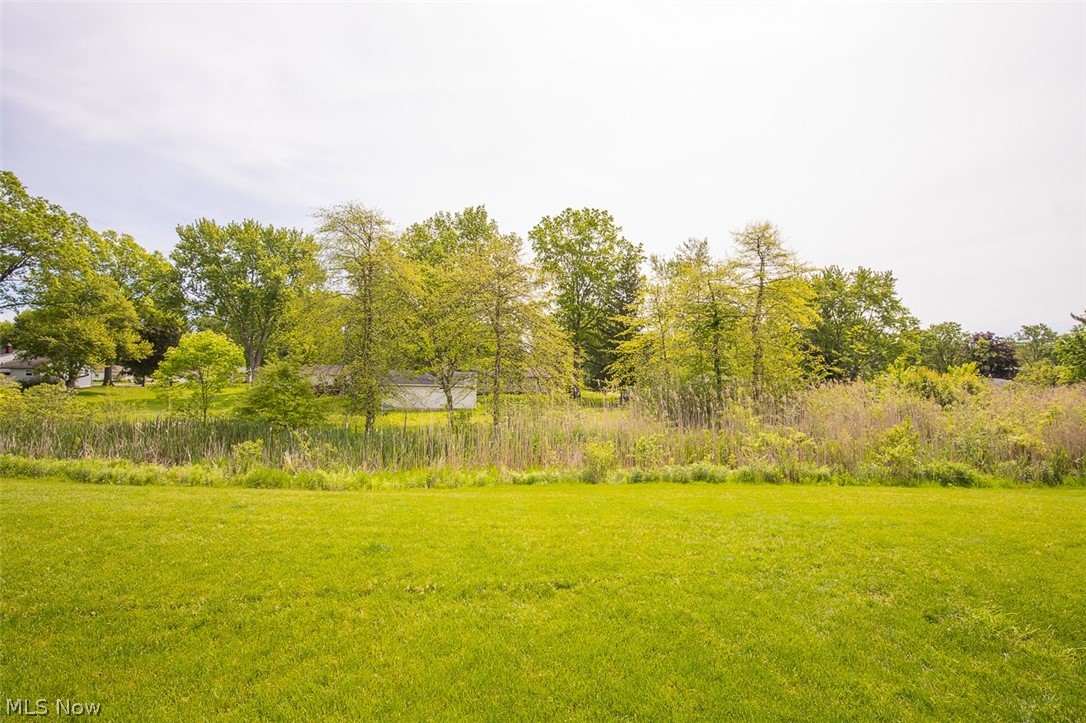 1169 Meadow Run Copley OH 44321