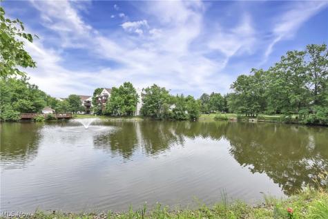 1420 Cedarwood Drive Westlake OH 44145